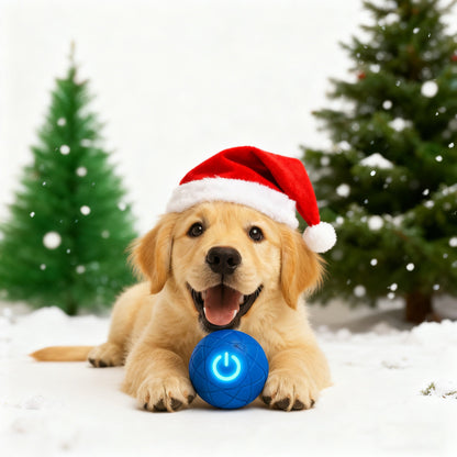 Rieha Pallo AkkuLelu