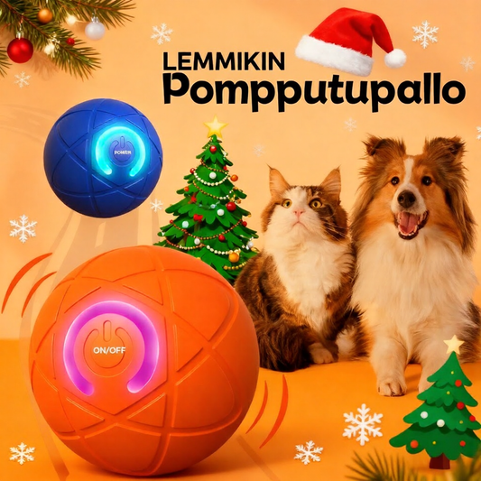 Rieha Pallo AkkuLelu