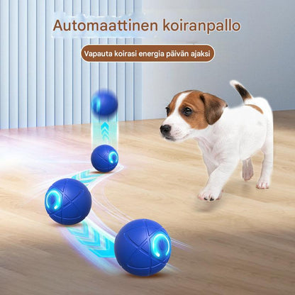 Rieha Pallo AkkuLelu